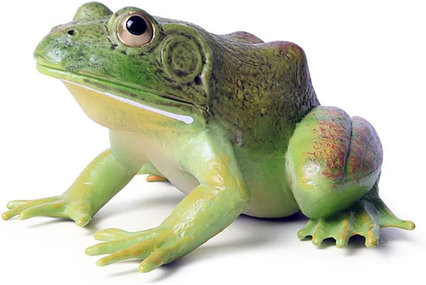 Simulated Tree Frog Model Figure Toy - Realistic Bullfrog Figurines Collection for Educational Props