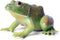 Simulated Tree Frog Model Figure Toy - Realistic Bullfrog Figurines Collection for Educational Props