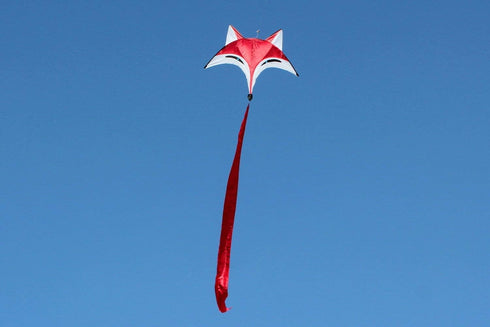 HENGDA KITE Red Fox Kite for Kids, Outdoor Fun Sports Single Line Kite with Flying Tools