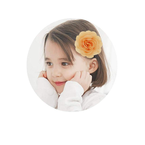 inSowni 24PCS Alligator Hair Clips, 3" Chiffon Flower Barrettes, Hair Bow Accessories for Toddlers Baby Girls