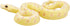 Snake Toys for Toddlers - Natural World Action Figures, Wildlife Figurines for Birthday Cake Topper and Garden