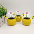 Apple Blossom Solar Dancing Flower Toys, Solar Dancing Figurines Ornament for Car and Windowsill Decoration