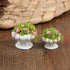 4 Pcs Dollhouse Potted Plants,Miniature Artificial Plant Bonsai,Mini Flowerpot,Miniature Dollhouse Kit,Doll House Mini Plant,for 1:12 Dollhouse Decor, zgdYT67D1