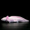 ZHONGXIN MADE Axolotl Plush, 20" Pink Realistic Stuffed Animal, Unique Plush Gift Collection for Kids