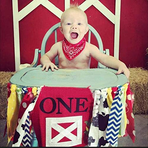 1st WAOUH Farm High Chair Banner - Birthday Party Theme Decoration, Fabric Garland Cake Smash Photo Prop, Souvenir