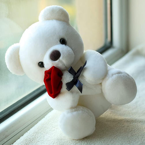 Teddy Bear Plush Stuffed Animal - Valentines Day Gift with Rose, 9.84 inches, White