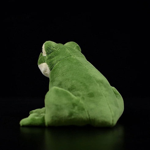 Nohito Kawaii Realistic Frog Plush Toy, 6.2" Green Frog Stuffed Animal, Lifelike Pillow Toys