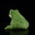 Nohito Kawaii Realistic Frog Plush Toy, 6.2" Green Frog Stuffed Animal, Lifelike Pillow Toys