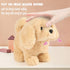 Hopearl Walking Dog Golden Retriever Interactive Electronic Pet Plush Toy Puppy with Moving Head for Toddlers
