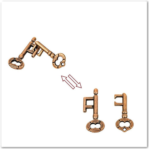 Sujosa 2 Sets Pair of Metal Brain Teaser Puzzle Keys, Assembly & Disentanglement Puzzles, IQ Logical Games, Fidget