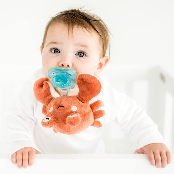 PaciBuddy Crab Pacifier Holder - Plush Toy with Detachable Pacifier, Universal Adapter for 0+ Months