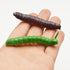 6Pcs Random Style Simulation Caterpillar Plastic Fake Worms, Crawling Halloween Prank Toy Educational Learning