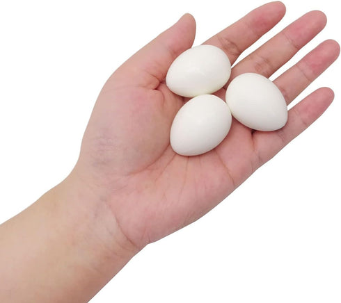 Honbay 12PCS Dummy Solid Plastic Simulation Pigeon Eggs Mini Eggs Hatching Eggs for Pigeon Hatching
