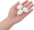 Honbay 12PCS Dummy Solid Plastic Simulation Pigeon Eggs Mini Eggs Hatching Eggs for Pigeon Hatching