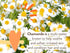 Babo Botanicals Sensitive Baby Miracle Cream, Fragrance-Free Moisturizer for Sensitive Skin