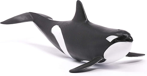 8 3+ 14807 schleich Wild Life - Killer Whale Toy - Realistic Orca Figurine - Ocean Wildlife Animal Figure