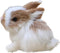 Mini Simulation Rabbits - Realistic Cute Plush Rabbits, Lifelike Plush Bunny Miniatures, White Rabbits Decor