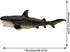 Swimming Gemini&Genius Sea Animal Tiger Whale Action Figure Soft Rubber Pool Bathtub Toys, Realistic Ocean Animals