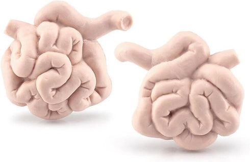 Mini Human Organ Set, 8 Piece 3D Human Anatomy Model for Kids, Mini Body Parts Sets, Anatomy and Physiology Study Tools