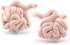 Mini Human Organ Set, 8 Piece 3D Human Anatomy Model for Kids, Mini Body Parts Sets, Anatomy and Physiology Study Tools