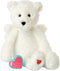My Baby's Heartbeat Bear Recordable Stuffed Animals, 20 sec Heart Voice Recorder, Angel Teddy Bear