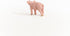 Schleich 13934 - Piglet Toy