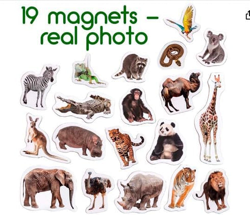19 Fridge Magnets for Toddlers, Zoo Photo Kids Magnets for Refrigerator, Animal Magnets