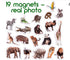 19 Fridge Magnets for Toddlers, Zoo Photo Kids Magnets for Refrigerator, Animal Magnets
