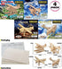 17 3D Set, 4 Pack Puzzled Wooden Airplane Model Kits - Water Plane, Spirit of St. Louis, Nieuport & Tri-Plane Wooden