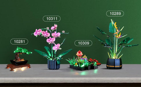 Lightailing Light for Lego-10309 Succulents, LED Lighting Kit Compatible with Lego Building Blocks Model - NOT Included