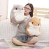 Hamster Plush Toy, Gray Hamster Stuffed Animal Pillow, Birthday Xmas Gift for Kids (15.7''x11.8'')