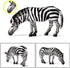 Playset Gemini&Genius Zebra Toys - Wild Life Zoo Animal Figurines, African Jungle Animal Action Figure Gift for Kids