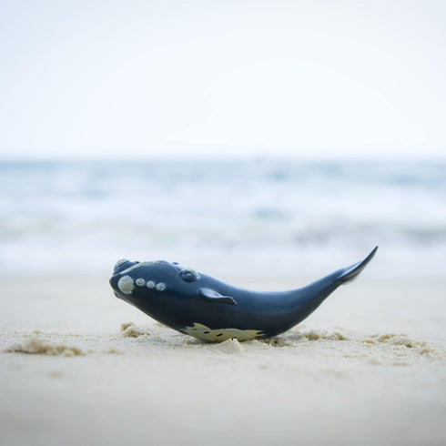 Gemini&Genius Right Whale Action Figure, Shark Animal Ocean Blackfish Toys, Soft Rubber Ocean Whale Shark, Great for Kids Bath Toys, Swimming Toys, Beach Toys and Cake Toppers