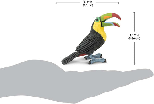 2.75" 3+ Safari Ltd. Toucan Figurine - Lifelike Bird Figure - Educational Toy for Boys, Girls, and Kids Ages