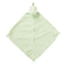 Angel Dear Dino Blankie