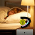 DIDWI Levitating Globe Multi-Color Changing Rotating Floating Globe with LED Light Magnetic Levitation World Map Globes