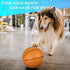 6" Mini Basketball for Kids and Adults, Indoor Basketball for Over Door Hoop, Toddler Balls 5 Pack