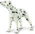 Safari Ltd Best in Show Dalmatian