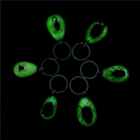 6 Pack Insect in Resin Specimen Collection, Luminous Glow in The Dark Keychain for Education