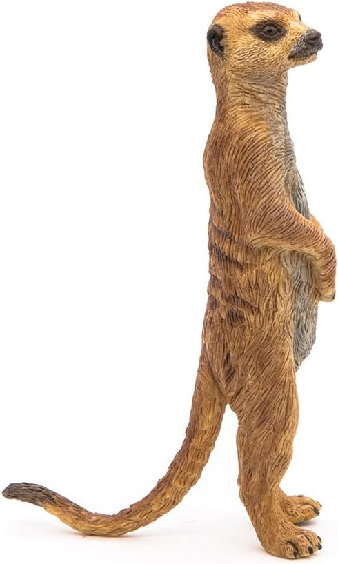 Papo Hand-Painted Wild Animal Kingdom Standing Meerkat Figurine 50206, Collectible for Ages 3+