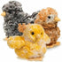 Adorable Brown Chick Plush Toy - Douglas