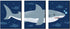 Big Dot of Happiness Shark Zone - Nursery Wall Art, Kids Room