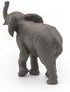 Papo Hand-Painted Wild Animal Kingdom Young Elephant Figurine 50225, Collectible for Children 3+