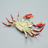 Ocean Animal Building Blocks (242PCS), Deep Sea Creatures Building Toy Set for Kids, Boys and Girls Crab