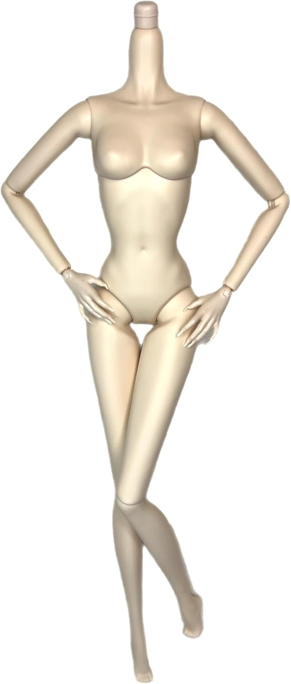 DIY OOAK Doll Bodies for Replacement 12 inch Fashion Doll Body, Supermodel Collector, Articulated Jointed Posable