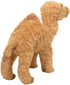 Lawrence the Camel Plush Stuffed Animal