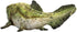 MOJO Realistic Dinosaur Figurine, Dunkleosteus