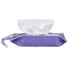 4 Pack PandaEar Baby Wipe Dispenser, Portable Wipe Holder Refillable Baby Wipes Container Wet Wipe Pouch or outings
