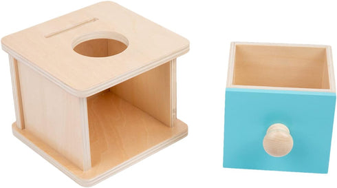 Adena Montessori Baby Toys Coin Box with Ball, Blue Door Great Gift for 6-12 Months 1-2 Years Old Toddlers