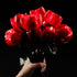 Kyglaring LED Light Kit for Lego Icons Roses Bouquet 2024 Building Set, Lighting Kit Designed for Lego 10328 Botanical